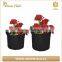 Green Field Best Selling Durable Using Wholesale Garden Felt Grow Bags
