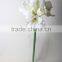 Lovely Hotsell Kaffir Lily artificial Kaffir Lily decorative Kaffir Lily for decoration