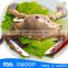 Frozen seafood whole crab