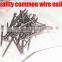 common wire iron nail for Africa market