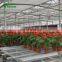 Commercial Agricultural Planting Grow Nursery Bed