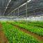 agricultural greenhouse used high tensile strength  plastic shade net