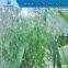 H4206 Opaque Frosted Static Window Film Cling Self adhesive Privacy Glass Stickers