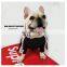 Spring Dog Clothes Hoodie Fashion Summer Letters Printed Coat Corgi Teddy Schnauzer Pomeranian Pet Clothing