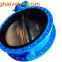 Double flanged butterfly valve