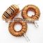 ROHS certificated 120uH 30A Toroidal Choke Inductor  Coil inductor  in Bifilar wires 37mm*18mm