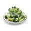 Sinocharm Grade A Export High Quality IQF 3-5 cm Frozen Broccoli