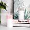 H2o Spray Mist Maker Double Wet Fogger Aroma Diffuser Essential Oil Car Air Humidifier Mini Ultrasonic 300ML LED Light Usb OEM