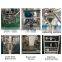 DS-420DZ Automatic weighing detergent powder filling packing machine for washing powder and soap powder packaging