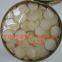 Canned Water Chestnuts