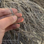 Customized 20mm 30mm 40mm Flexible Ferrule Type Stainless Steel Wire Rope Zoo Animal Mesh Aviary Netting