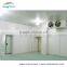 walk in blast freezer for fish beef chicken
