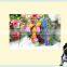 Beautiful bright pet card cheap wholesale