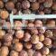 frozen lychee