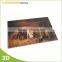 3D Printing Decorative lenticular Wall Hanging Picture