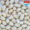 blanched peanut 41/51 51/61