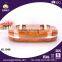 Double Bowl Food Storage Container With Two Handle