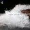 Beautiful White Duck Feather for Sale