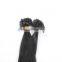 OEM package Italian Glue double drawn 100 cheap remy u tip keratin pre bonded hair extension