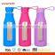 Soft Touch Unbreakable Borosilicate Glass Water Bottle With Strip