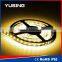 2 Years Warranty Warm White CE ROHS 3528 SMD Waterproof Strip Light LED 12V