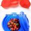 BPA Free Non-Stick Food Grade Heat Resistant Collapsible Silicone Food Containers