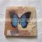 2016 New designed imaged marble coaster