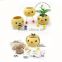 New Invented personalized wedding gifts DIY mini bonsai birthday souvenir gifts , house warming gifts