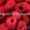 FD Dried Fruits-Frozen Dried raspberry whole with best price