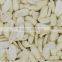 Splitted Shandong blanched peanut with best price