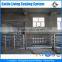 Cattle Slaughter Equipment Beef Processing Facility