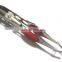 Tweezer With Led Light, Stainless Steel Painting Tweezer, Light Tweezer,