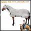 Hot Sales Beautiful Horse Quilted Stable Rugs