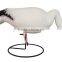 Plastic Hunting Goose Decoys With Iron Hoop Pedestal For Hunting in three head position