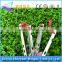 Camping Tent and Titanium Tent Peg/Titanium Pegs