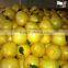 fruit importer fresh pomelo