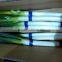 good quality green onions