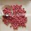 New Crops Red Skin Peanut Kernel