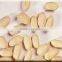 Peanuts Bold