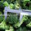 New Crop Frozen Iqf Broccoli