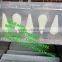 automatic fish scale removing machine / fish scale remov machine / plant price fish scale cleaner machine