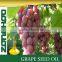 Grape seed oil rich in Fatty acids and OPC