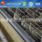 hot galvinized metal poultry chicken cages