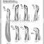 extracting forceps