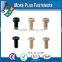 Made in Taiwan Hex Socket Plastic Cap Screw Cross Recess Pan Head Plastic Material Screw
