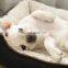 High quality and durable use of various Pet Cushion Pet Bed Comfortable Cute Dog Bed
