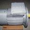 SIEMENS 1LE0003 4kw 2p electric Motor