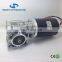 12v 24v 40nm dc motor with worm gear reductor OPTION 50Nm 60Nm