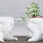 Ceramic Dolphin Planter Pot Succulent Plant Pot