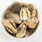 High quality dried straw mushroom/Wholesale bulk mushroom from Vietnam